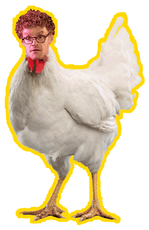 Chicken GIF